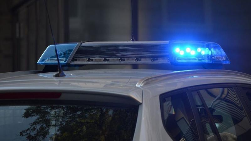Az M5-ös pihenőhelyén kinyílt a kamion ajtaja, és a jelenlévők szeme előtt egy szokatlan látvány bontakozott ki: úgy tűnt, hogy megnyerték a lottó főnyereményét.