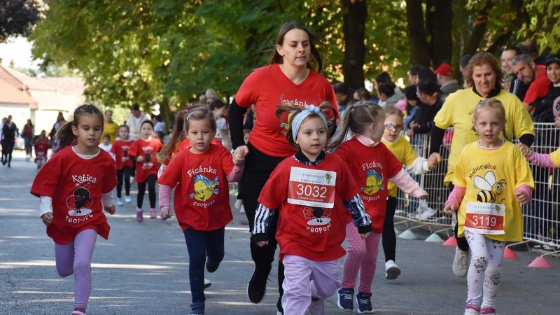 A jászfényszarui közösség összegyűlt, hogy méltó módon megemlékezzen a város híres futójáról, Maróti Istvánról. Az esemény során a résztvevők megosztották emlékeiket, és felidézték a sportoló kiemelkedő teljesítményeit. A rendezvény gazdag programkínálatt