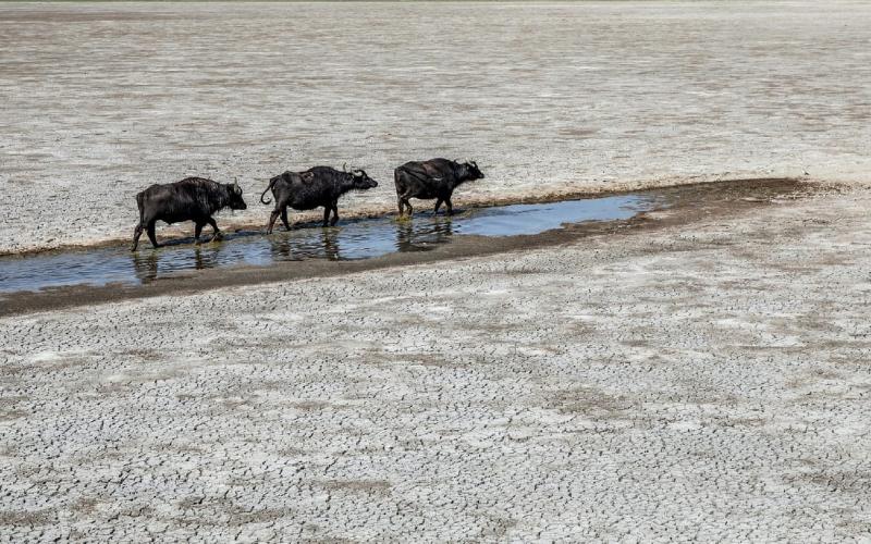 Régen vágyott ennyire az ország arra, hogy novemberben rákezdjen az esőzés: a vízügyi hatóságok már apokaliptikus forgatókönyvekkel is készülnek.