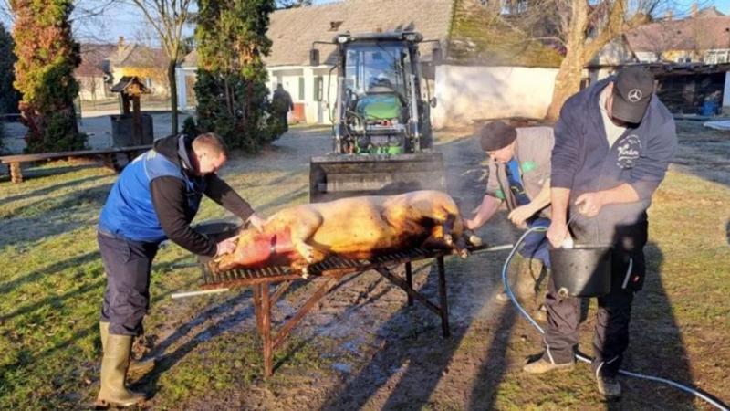 Kolbász vagy büntetés? Ne engedd, hogy a hatóság helyetted válasszon!