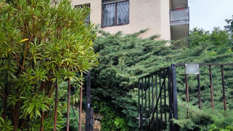 Budán egy borzalmas gyilkosság rázta meg a közvéleményt: a zenész, akit sokan tiszteltek, tragikus módon vetett véget felesége életének. Az eset sokkolta a helyi lakosokat, akik alig tudják felfogni a történteket.
