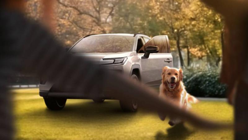 A Toyota ezekkel a lenyűgöző képekkel igazán különlegessé teszi számunkra a márkához fűződő kapcsolatunkat.