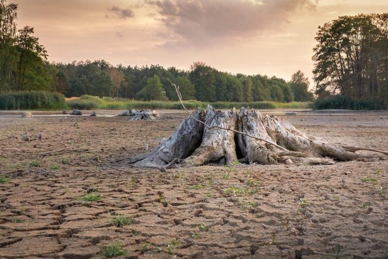 Agrometeorológiai előrejelzés: nem várható hőség, de csapadékra sem számíthatunk - Magyar Mezőgazdaság