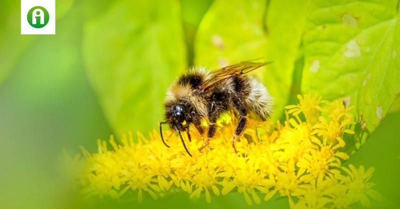 Fedezd fel, hogyan forradalmasítja az üvegházi növénytermesztést a legújabb technológia! + VIDEÓ

Képzeld el, hogy a jövő üvegházi környezete nem csupán egy egyszerű termesztőhely, hanem egy intelligens ökoszisztéma, ahol a növények és a technológia tökél