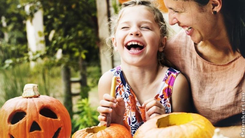 Halloween-tök faragás - garantáltan csodás végeredménnyel!

Ahhoz, hogy a Halloween-tököd igazán különleges legyen, érdemes néhány kreatív lépést követni. Először is, válassz ki egy szép, egészséges tököt, amelynek sima a felszíne és jó formája van. Miutá