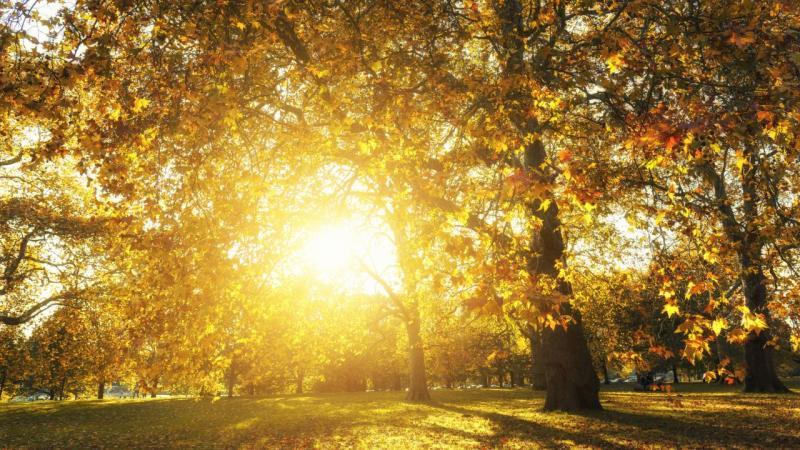 Hosszú hétvégi időjárás: Meddig élvezhetjük a vénasszonyok nyarát?